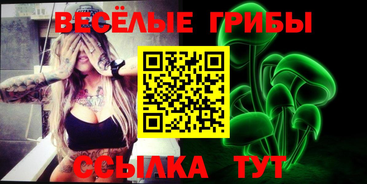 Псилоцибиновые грибы Cubensis Туапсе