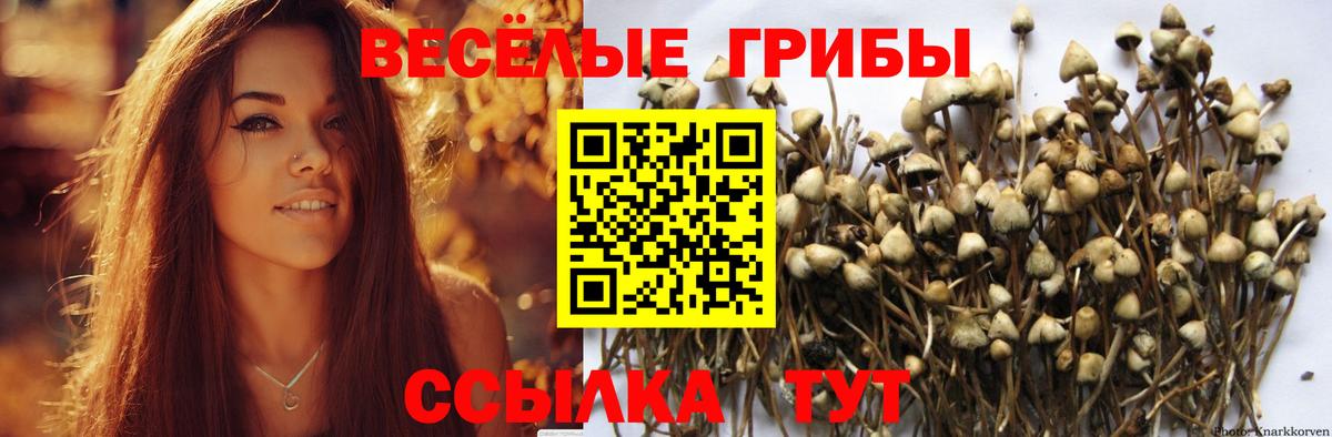 Туапсе  Галлюциногенные грибы Psilocybe  Псилоцибиновые грибы мицелий  Вход с VPN 